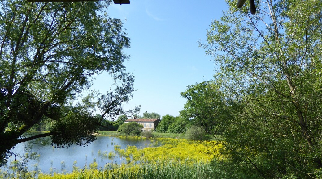 Vue de l'รฉtang d'Amel et de l'ancienne ferme en direction de la digue dans la rรฉserve naturelle rรฉgionale de l'รฉtang d'Amel.