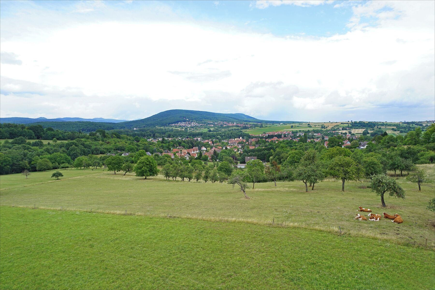 Une partie du champ de bataille du 6 août 1870. depuis le belvédère érigé par les allemands Au creux de la vallée, le village de Woerth La bataille du 6 août 1870 a eu lieu entre l'armée française (positionnée à Froeschwiller et commandée par Mac-Mahon) et les armées allemandes coalisées autour de la Prusse (positionnées à Woerth). Le nom de Reichshoffen lui a été historiquement associé alors qu'elle ne s'y est pas déroulée. Les soldats allemands étaient trois fois plus nombreux que les français. Cette bataille, qui a fait 20.000 morts dans les deux camps, marque le début de la guerre franco-allemande de 1870-1871 perdue par la France et qui a abouti à l'annexion par l'Allemagne de l'Alsace et de la Lorraine (région de Metz). Voir une analyse de la bataille sur le site "L'histoire par l'image" www.histoire-image.org/etudes/bataille-reichshoffen-6-aou... Les répercussions de cet affrontement ont été considérables car les deux grandes guerres, qui se sont produites au XXè siècle, en sont le prolongement. Le parcours en voiture du champ de bataille est recommandé par le musée car il est érigé au bord des routes plusieurs monuments français et surtout allemands. En effet, cette région a fait l'objet durant l'occupation allemande jusqu'en 1918 d'un tourisme important de la part des allemands venant célébrer le sacrifice de leurs soldats. webmuseo.com/ws/musee-woerth/app/report/index.html
