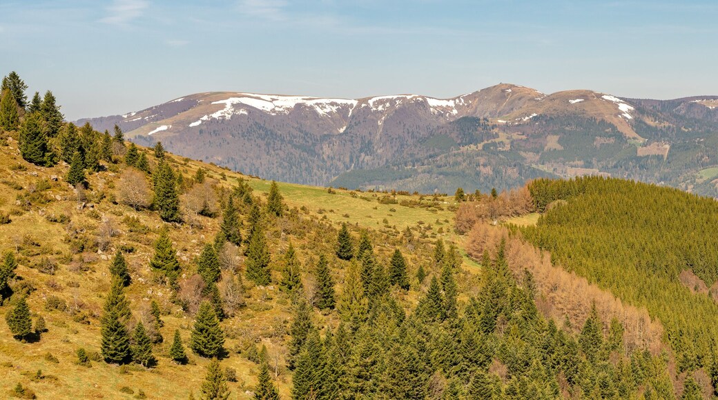 Parroquia de Saint-Mont