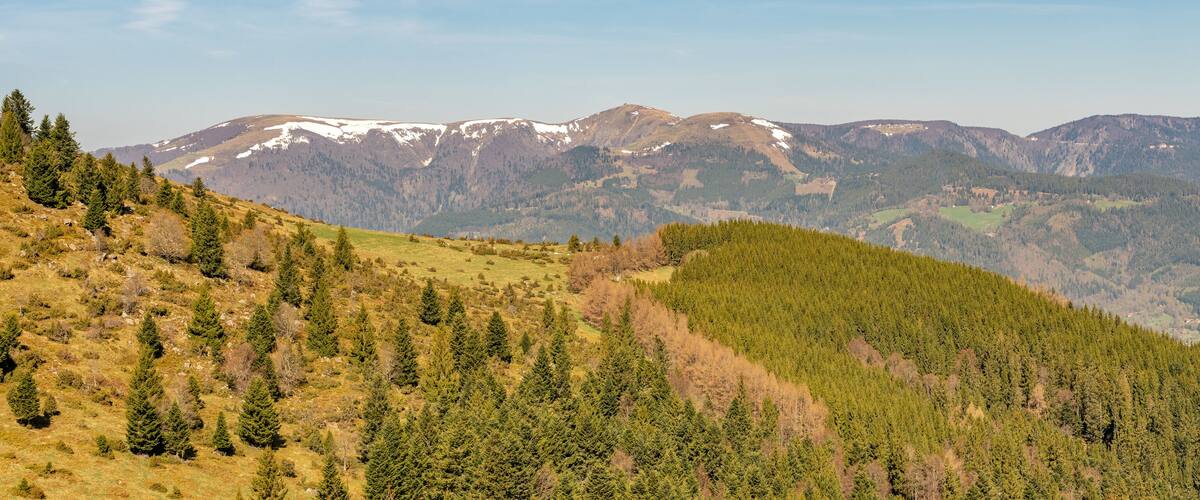 A mountainous landscape with dense forests and snow-capped peaks.