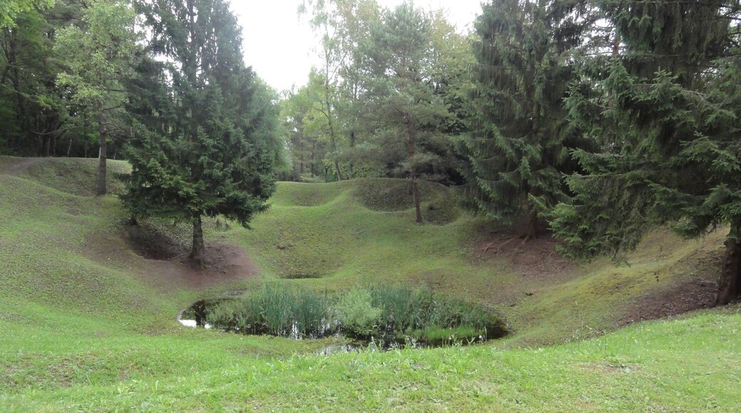 Leintrey (M-et-M) Mémorial les entonnoirs