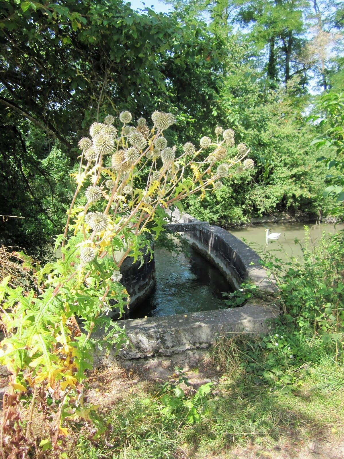 Ancien Canal du Rhône au Rhin near Neuf Brisach, Alsace, France