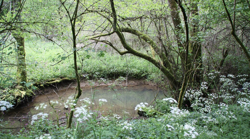De Conroy an der Fosse aux Porcs am Staatsbësch vu Moyeuvre op der Gemengegrenz vu Lommerange mat Neufchef