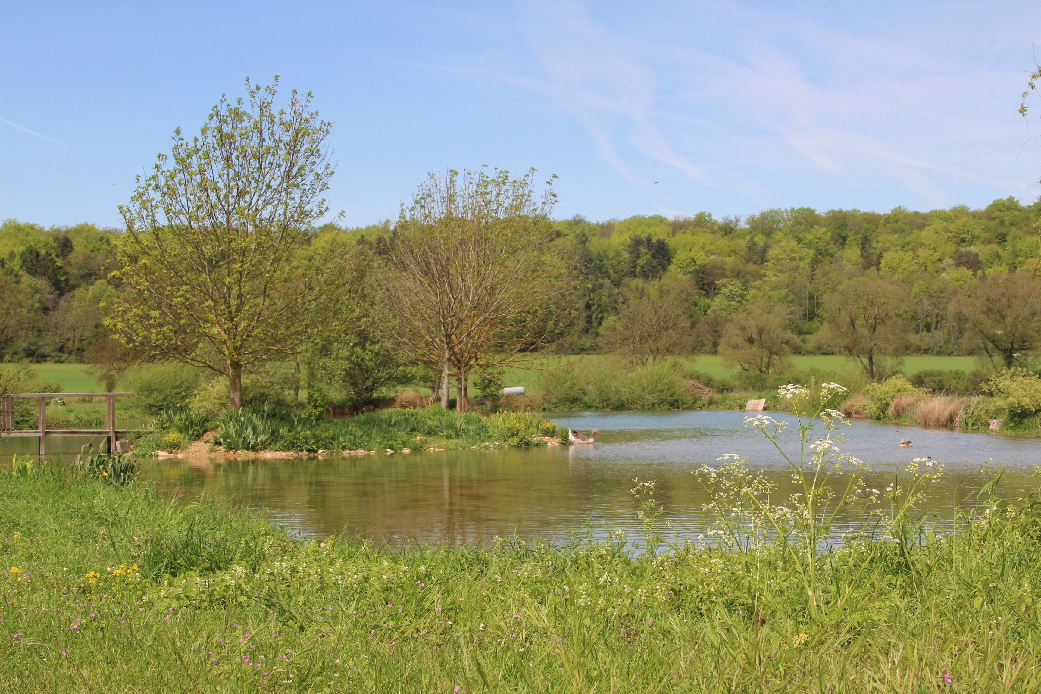 Jakobsweg by Niederkasseler