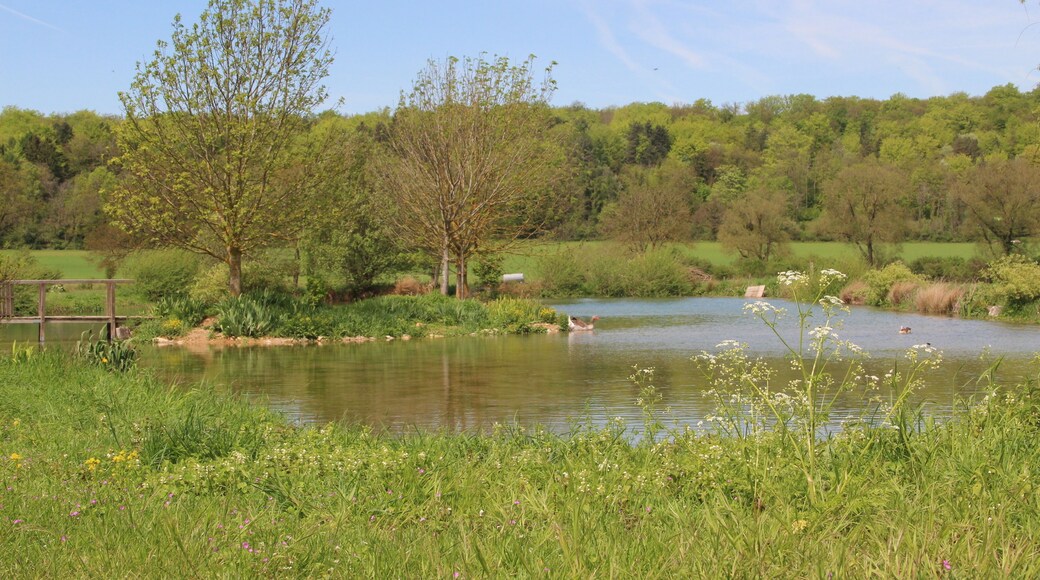 Jakobsweg by Niederkasseler