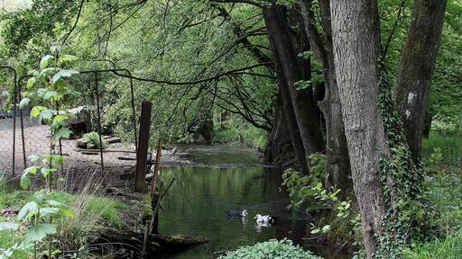 De Conroy nieft dem Moulin de Pérotin