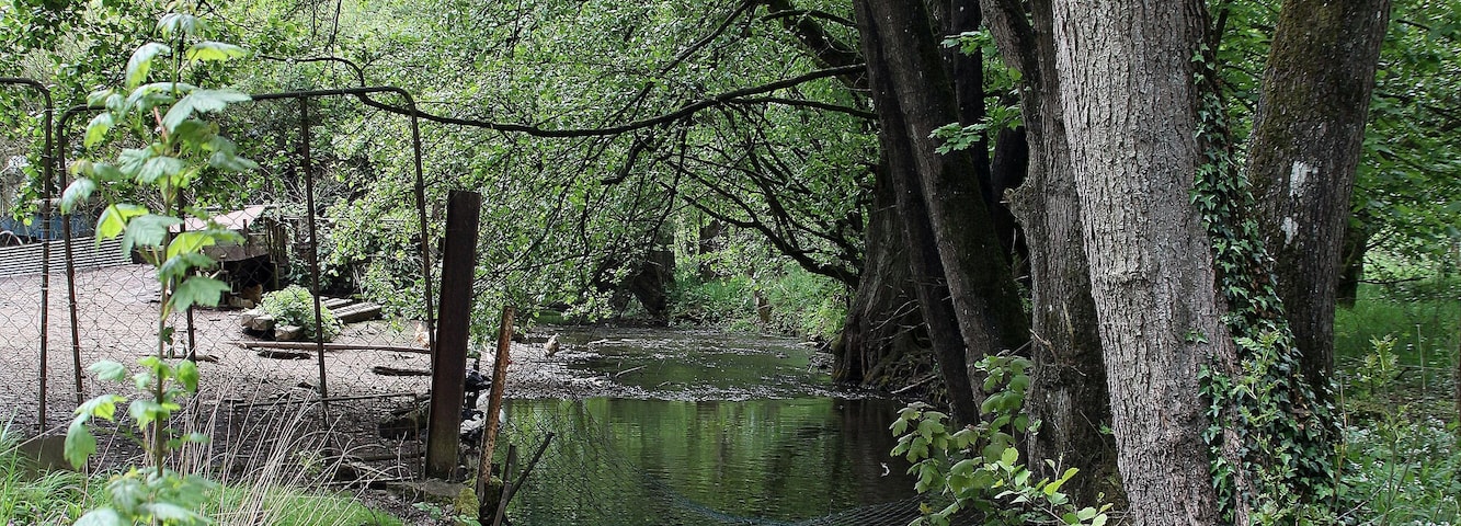 De Conroy nieft dem Moulin de Pérotin
