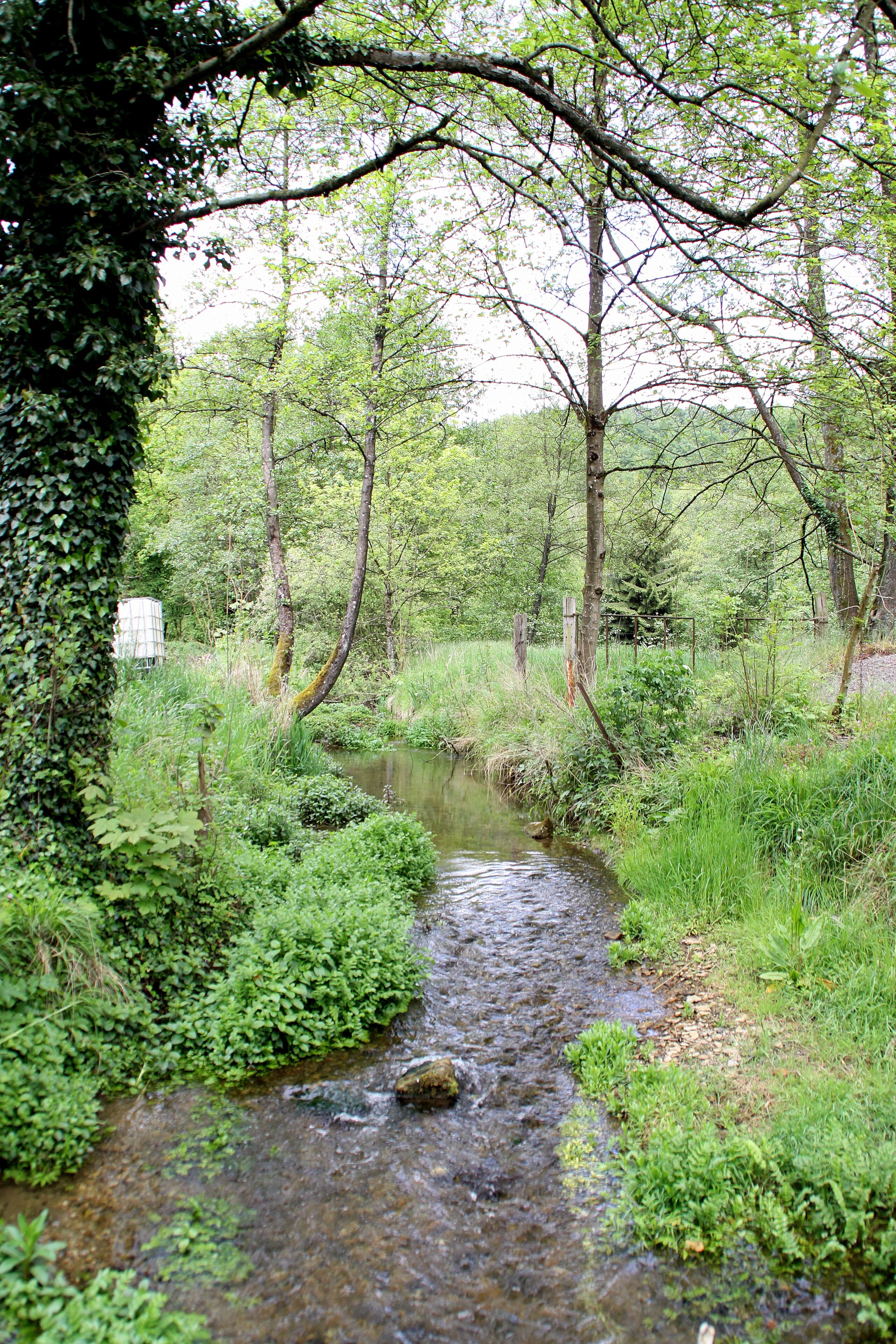 De Conroy flossop vum Moulin de Pérotin