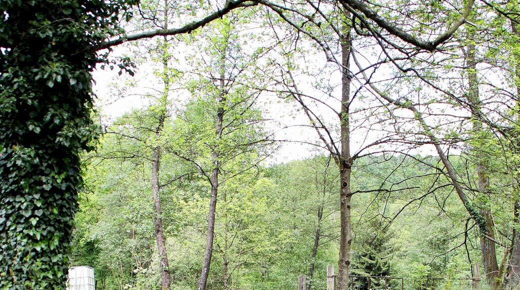 De Conroy flossop vum Moulin de Pérotin