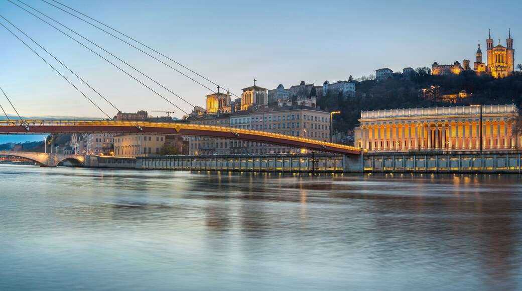 Passerelle ville de LYON