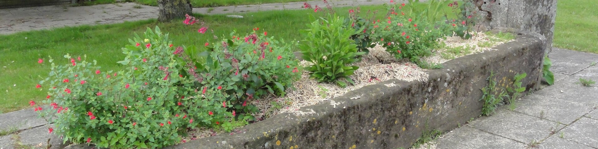 Bauzemont (M-et-M) fontaine