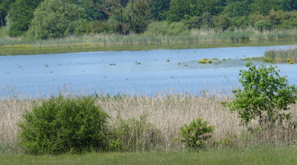 Vue sur l'étang d'Amel en direction du nord depuis l'observatoire à oiseaux sud dans la réserve naturelle régionale de l'étang d'Amel.