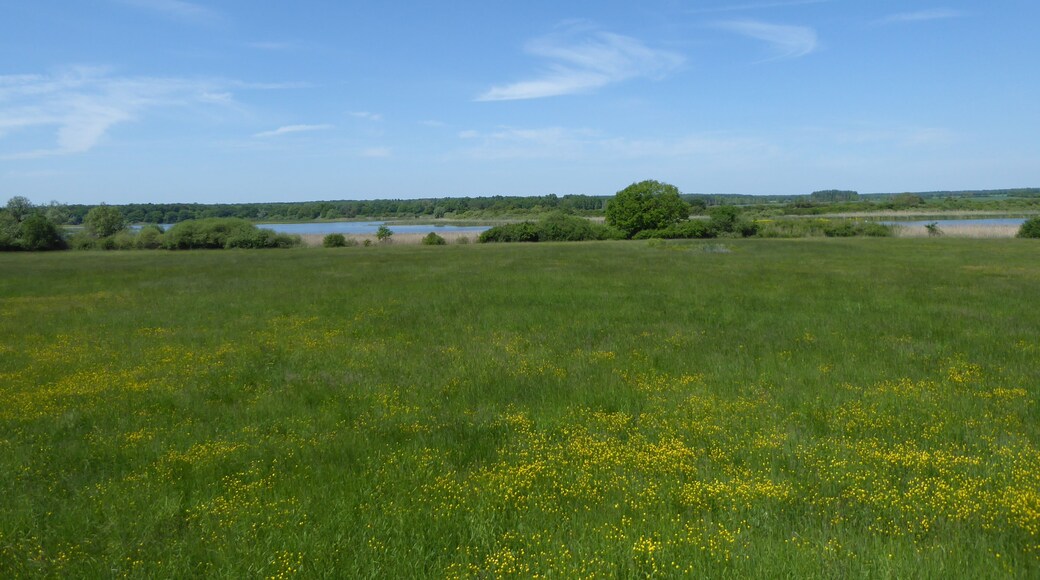 Vue sur l'étang d'Amel en direction du nord depuis l'observatoire à oiseaux sud dans la réserve naturelle régionale de l'étang d'Amel.