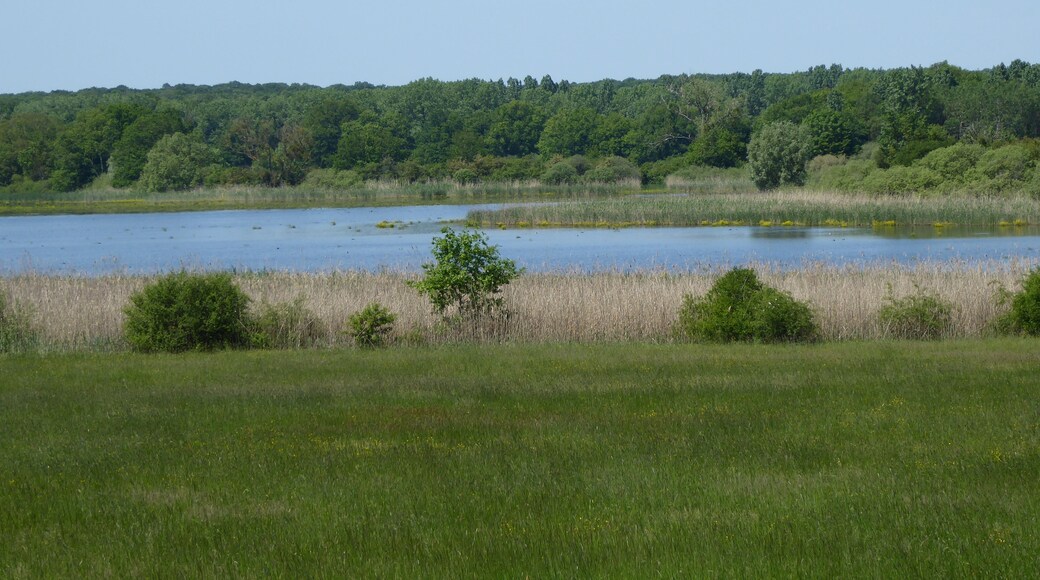 Vue sur l'étang d'Amel en direction du nord depuis l'observatoire à oiseaux sud dans la réserve naturelle régionale de l'étang d'Amel.