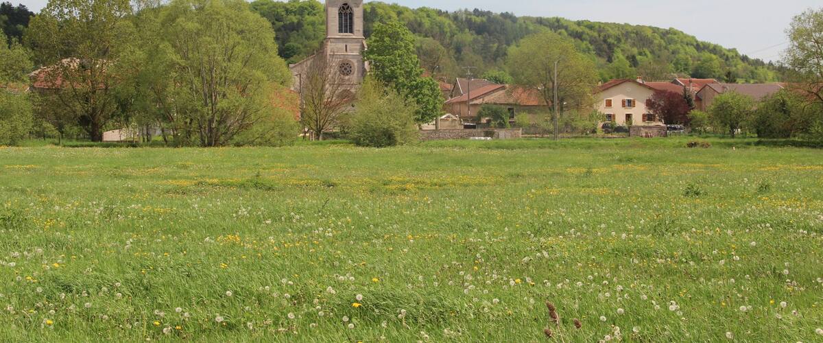 A church with a clock tower, surrounded by a green field with dandelions, trees, and houses on a hillside.