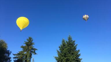 Two hot air balloons, one yellow and one striped, against a clear blue sky.