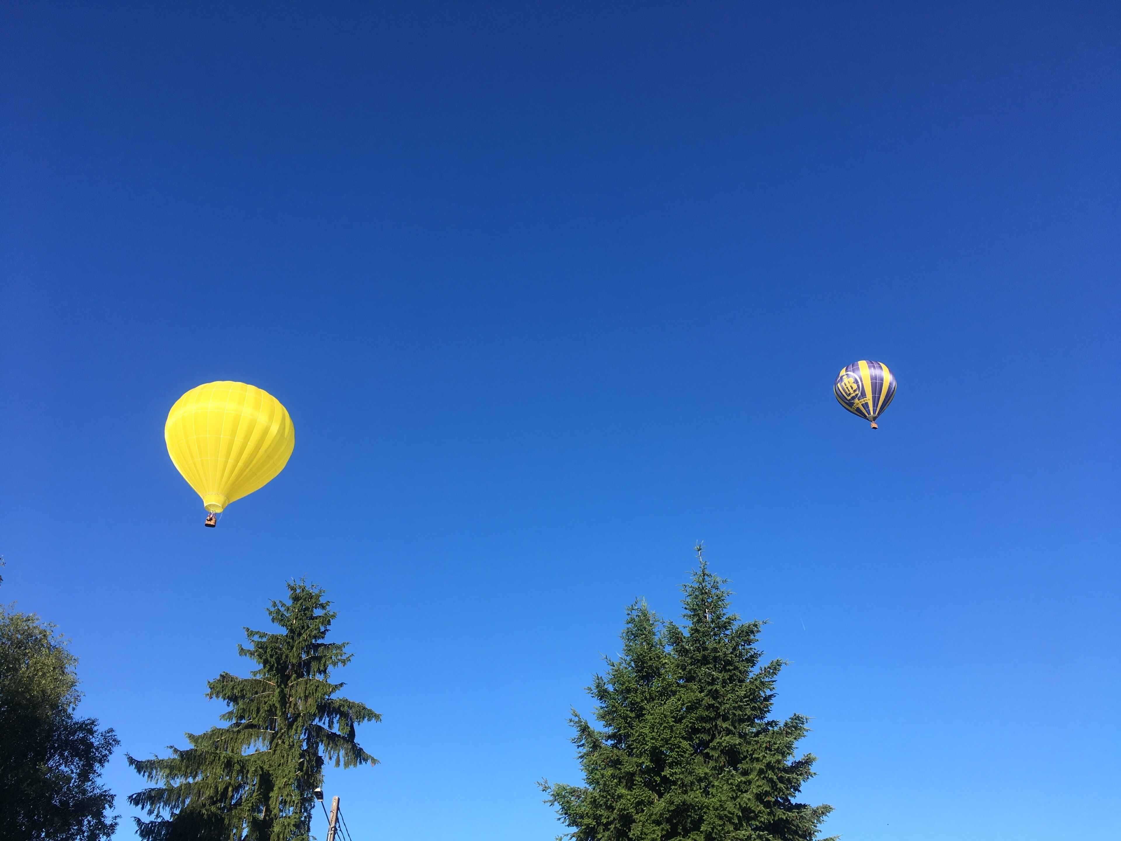 Two hot air balloons, one yellow and one striped, against a clear blue sky.