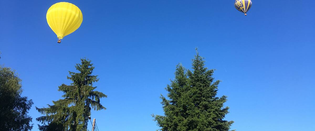 Two hot air balloons, one yellow and one striped, against a clear blue sky.