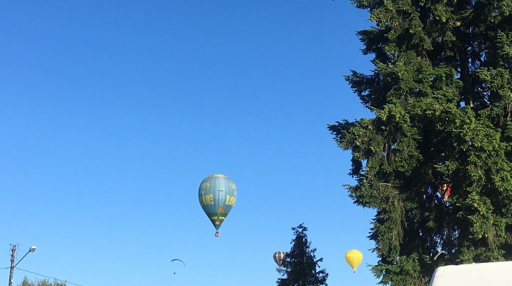 Mongolfiades organisées par l'ENSTIB à Epinal le 10 juin 2017