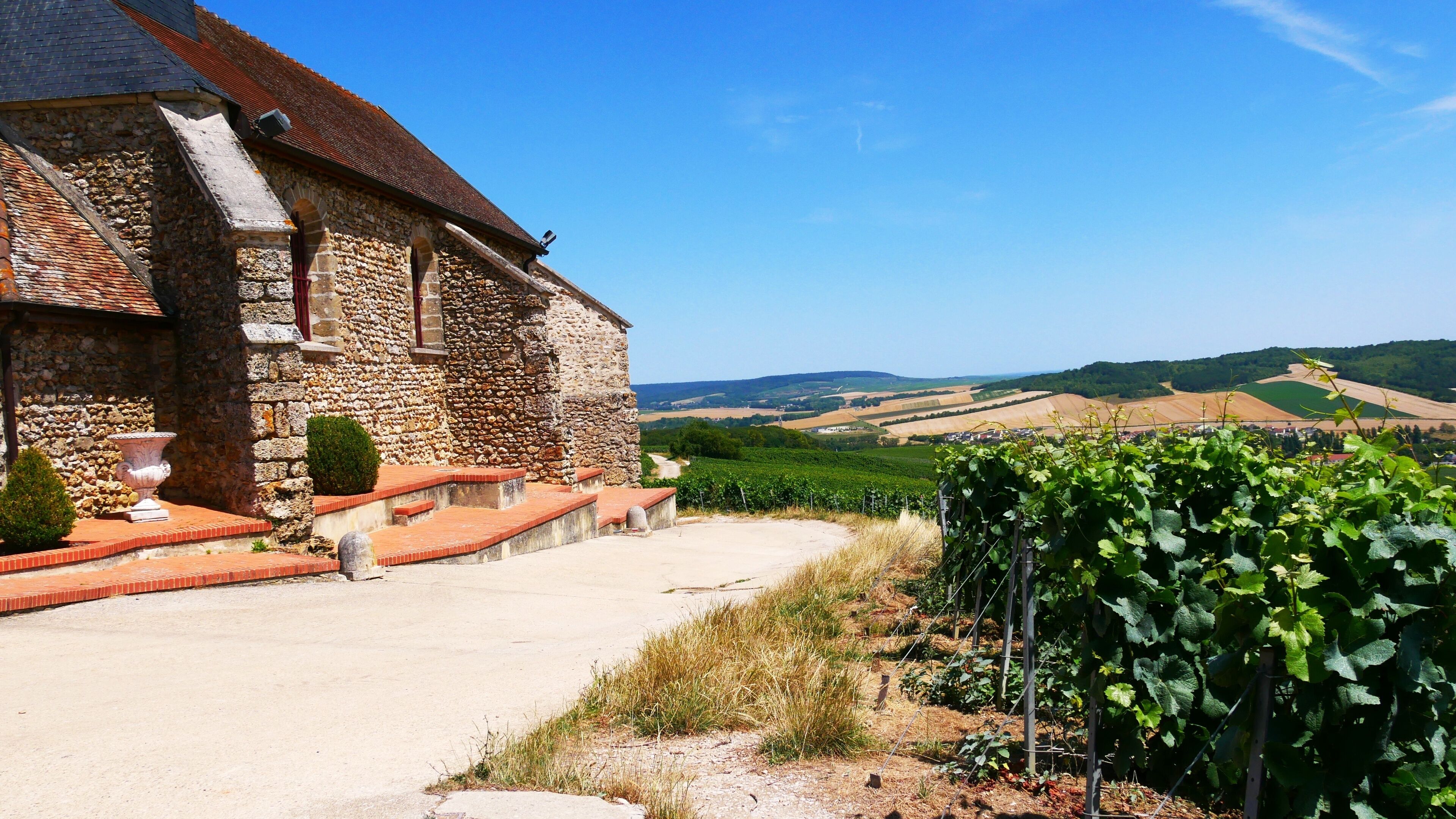 A stone building with a red-tiled roof, a paved pathway, and a vineyard in the background.