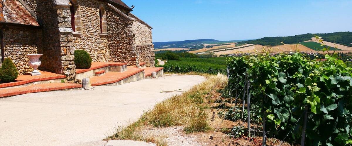 A stone building with a red-tiled roof, a paved pathway, and a vineyard in the background.