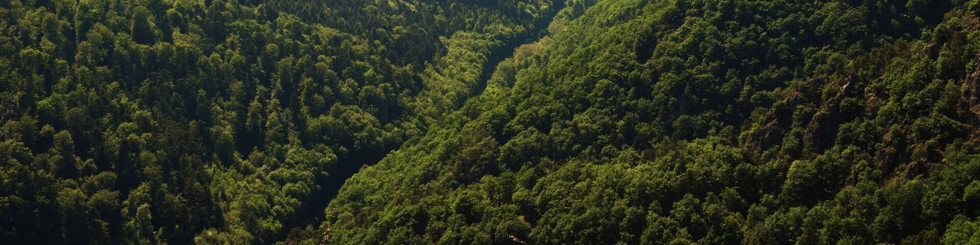vue sur les Vosges - France