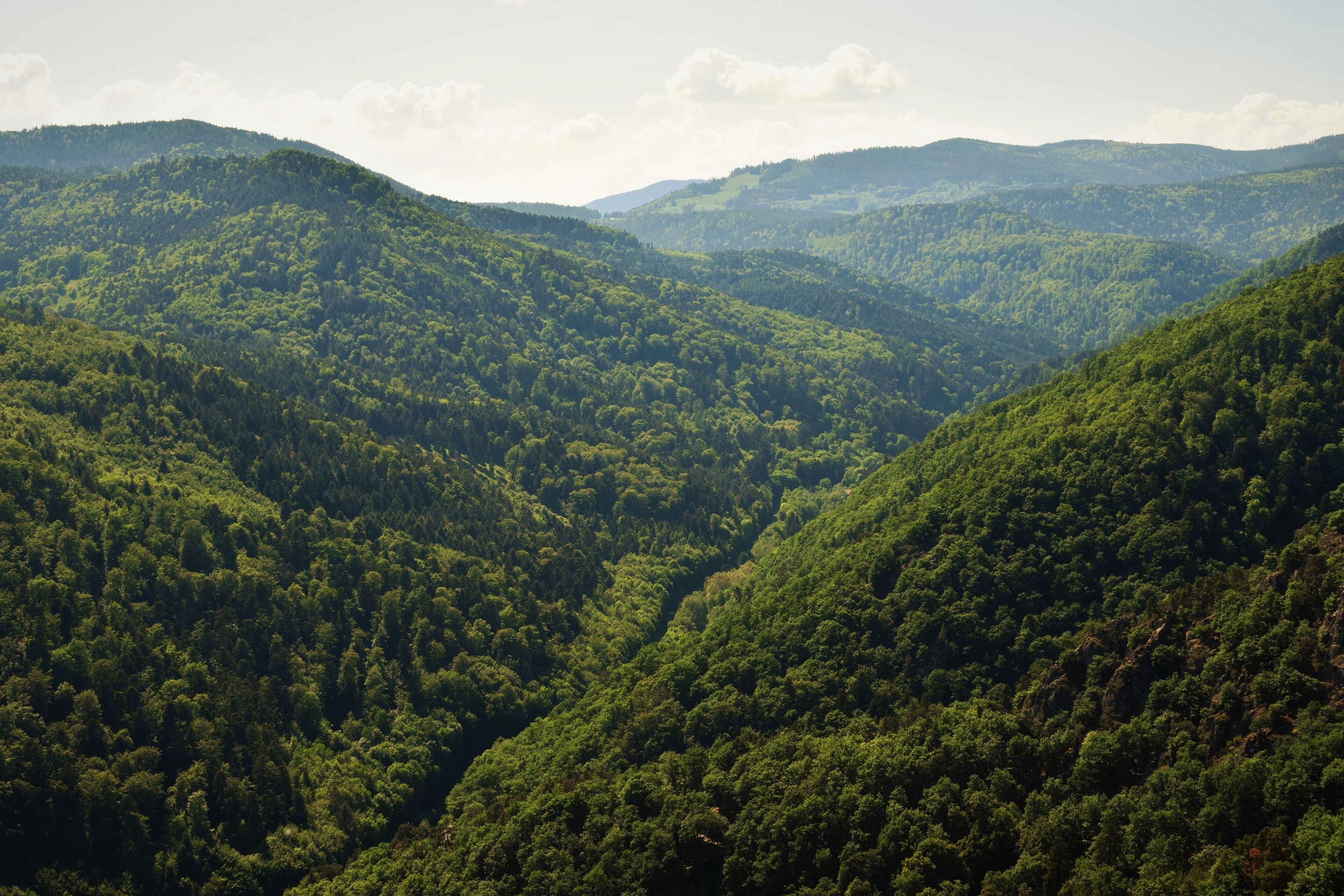 A lush green valley with dense forested hills.