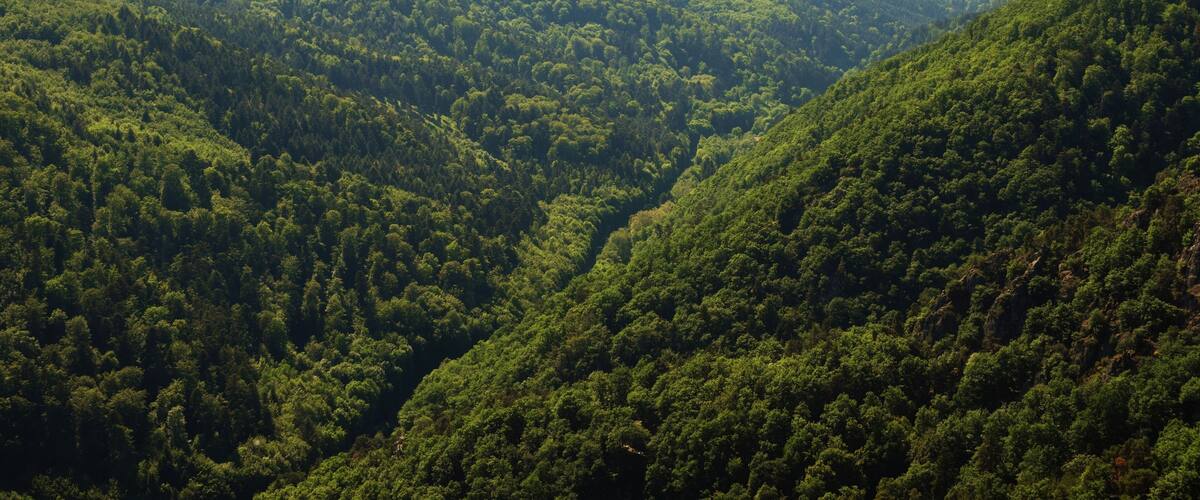 A lush green valley with dense forested hills.