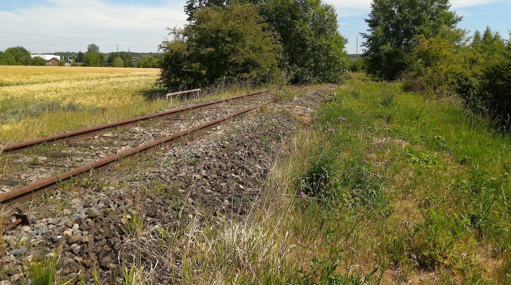 ehemalige Bahnstrecke Fontoy–Audun, Frankreich. Im Hintergrund die D59A.
