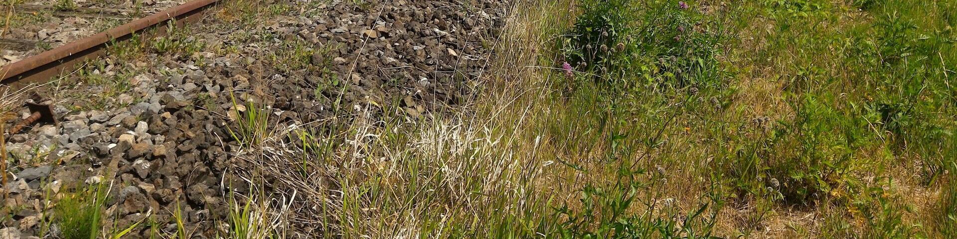ehemalige Bahnstrecke Fontoy–Audun, Frankreich. Im Hintergrund die D59A.