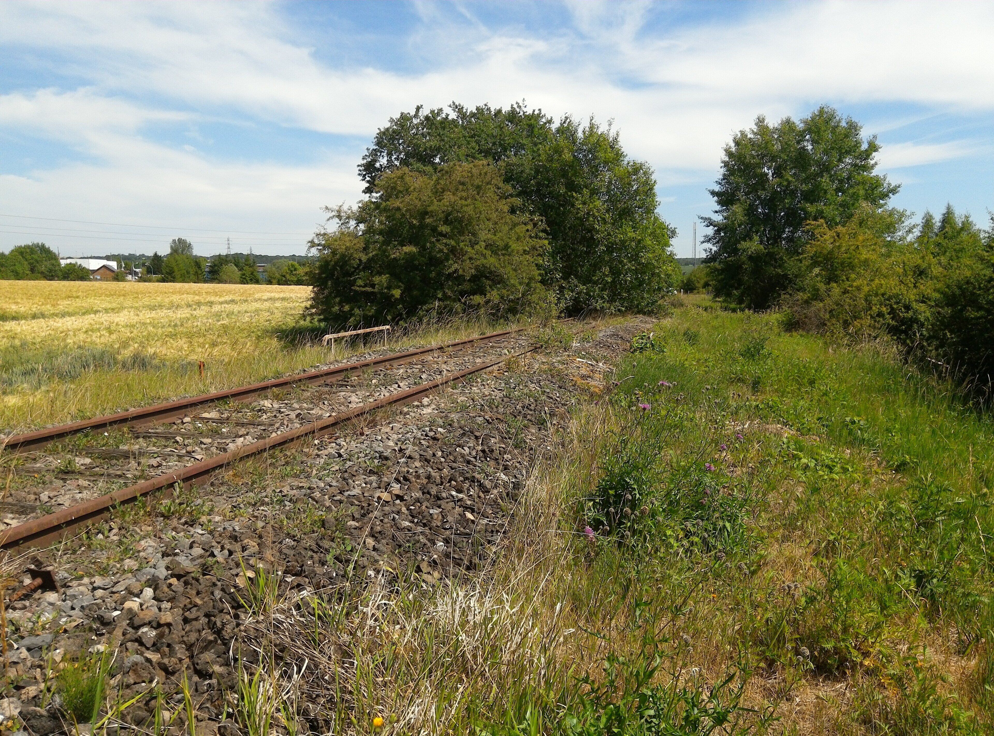 A rural landscape with railway tracks, a field, and trees.