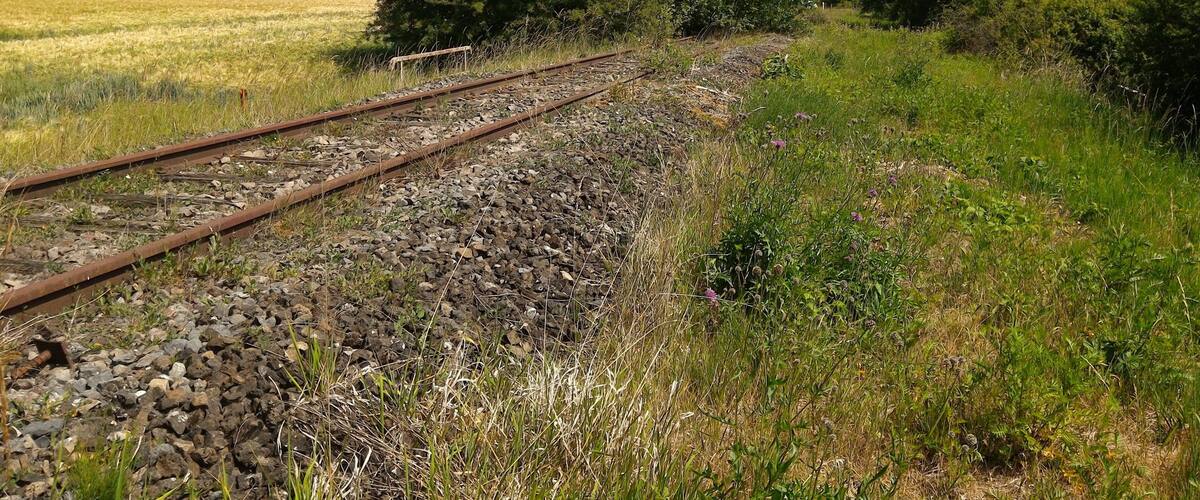 A rural landscape with railway tracks, a field, and trees.