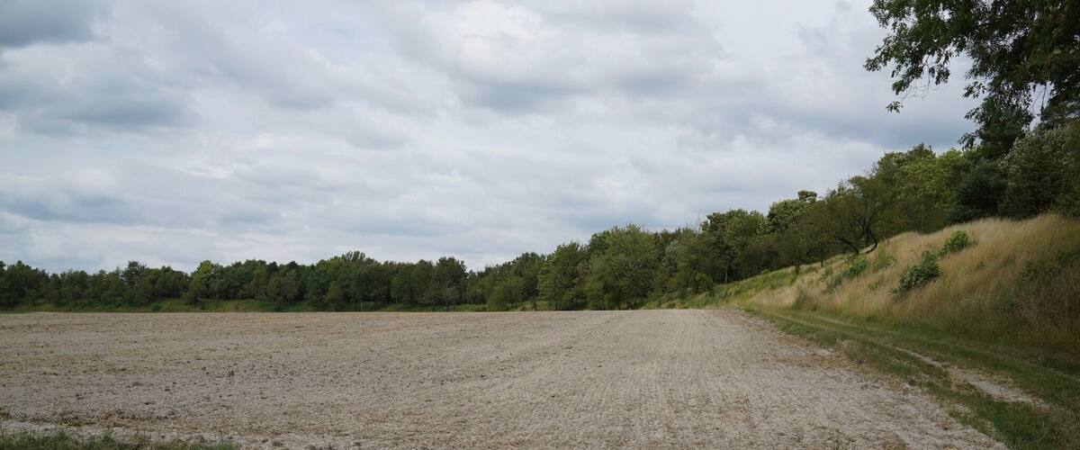 A large open field with a dirt path leading to a wooded area.