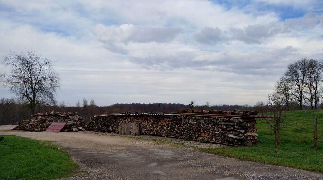 Sergenon (Jura, France) en janvier 2018.