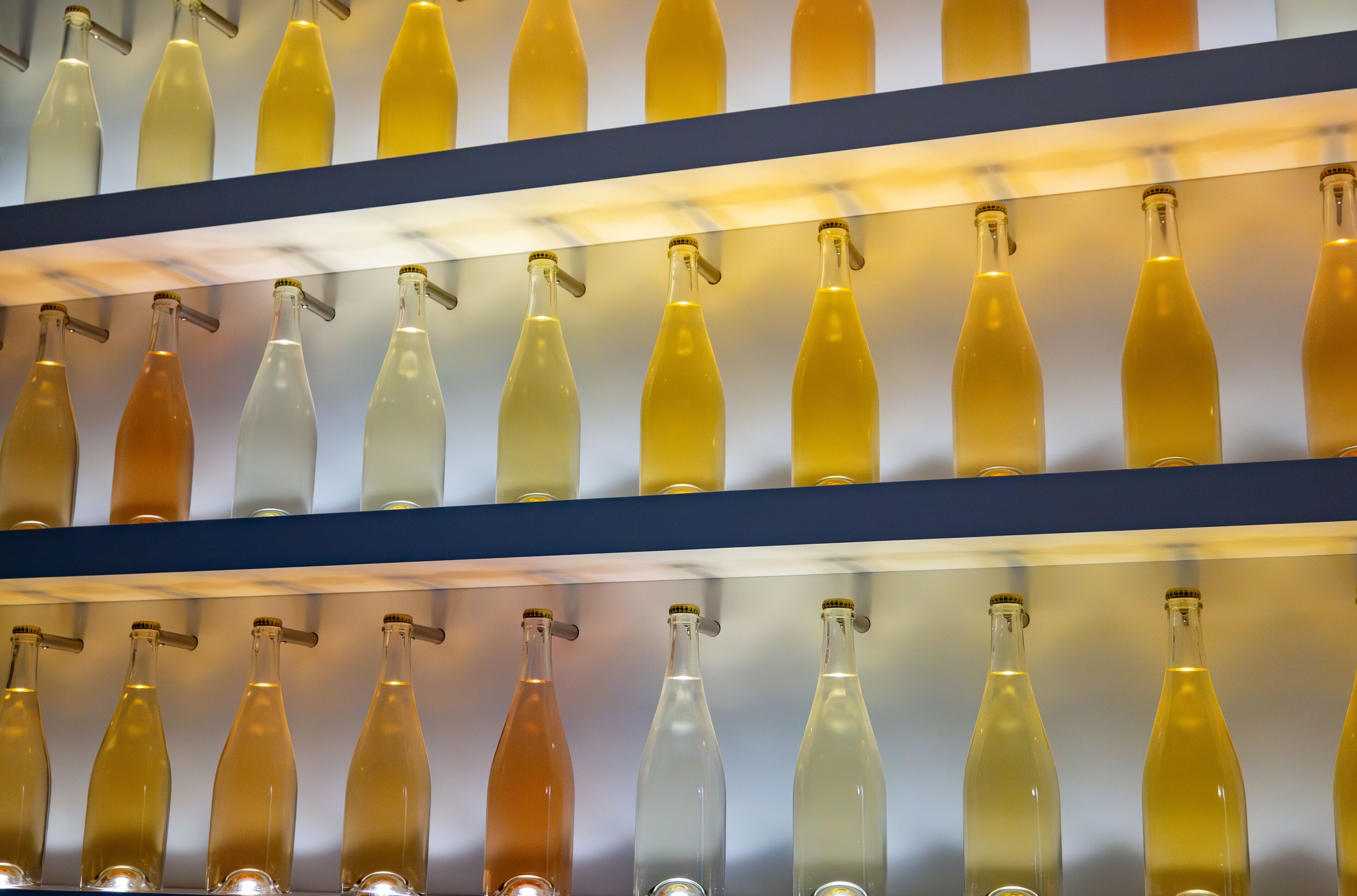 Shelves with various colored bottles.