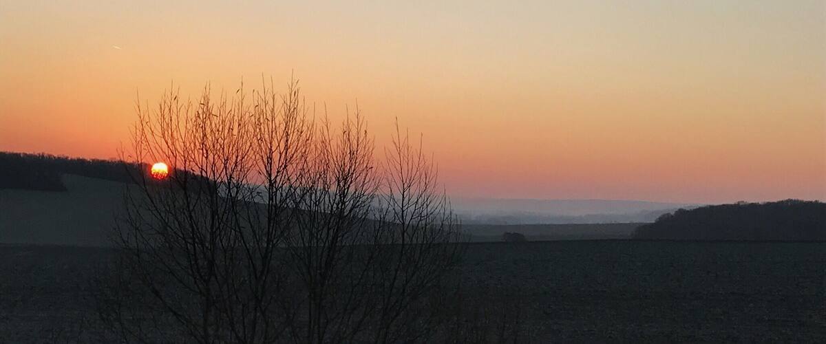 A sunset over a flat landscape with a tree in the foreground and a distant horizon.