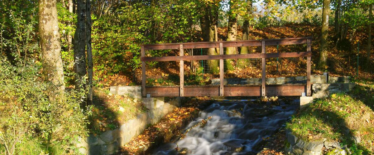 A wooden bridge over a cascading stream in a forested area.