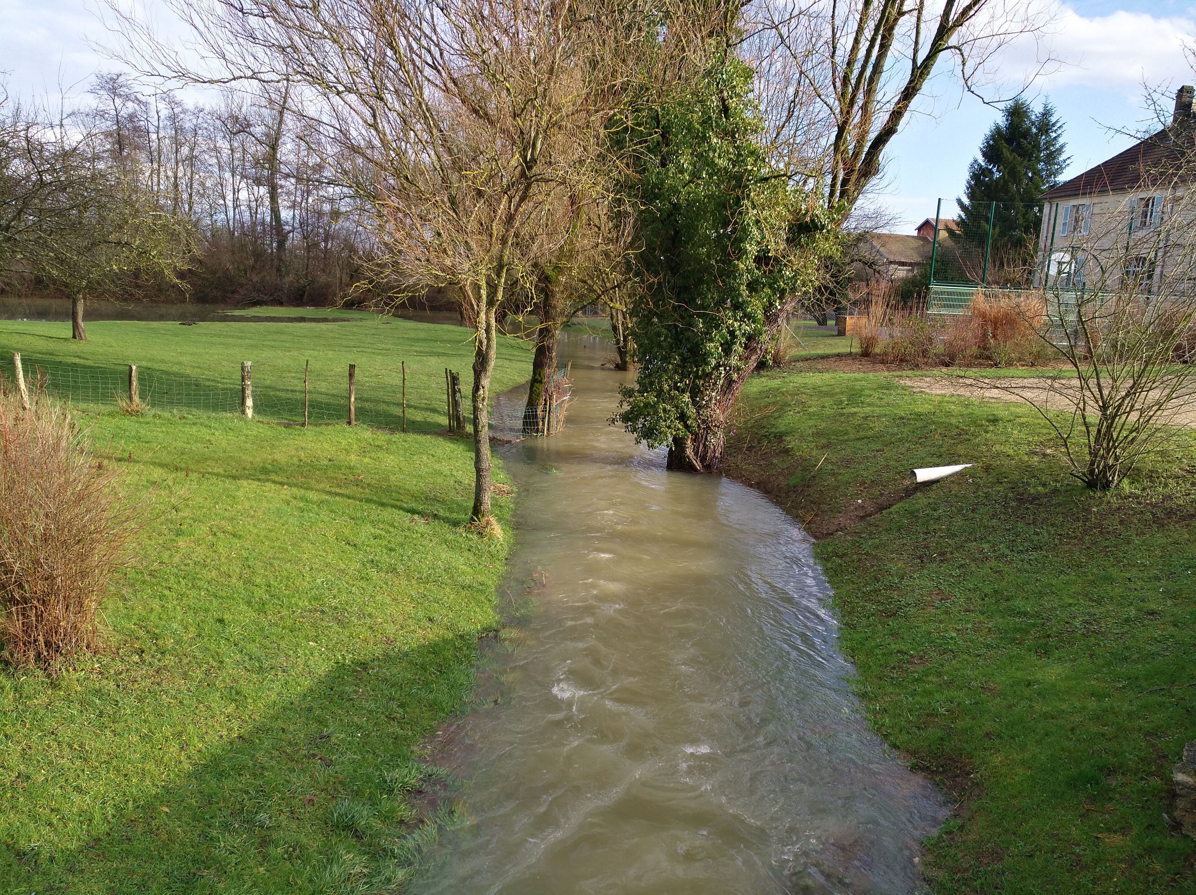 A narrow stream flowing through a grassy area with trees and a house in the background.