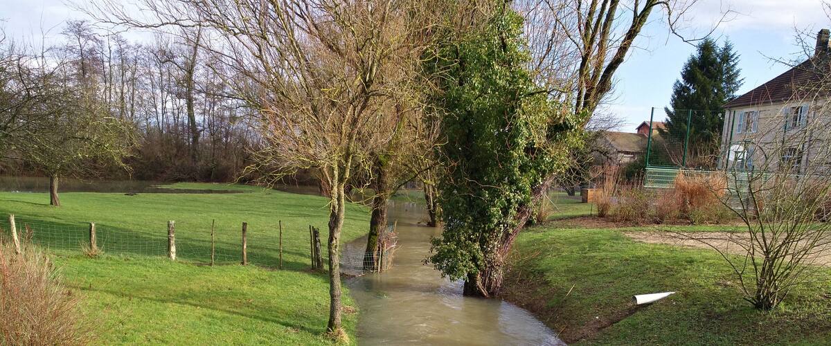 A narrow stream flowing through a grassy area with trees and a house in the background.