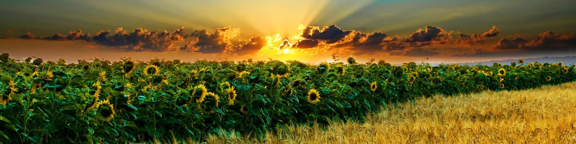 Ăglise Saint-Ătienne d'Orchamps