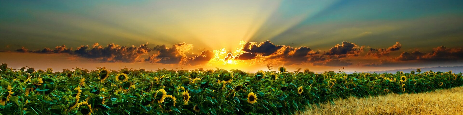 Église Saint-Étienne d'Orchamps