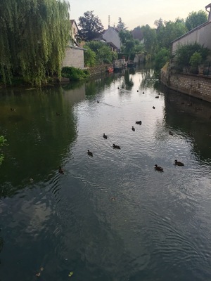 An unspoilt, almost medieval village, Marnay is an excellent stopping place with its excellent campsite just across the river, or the lovely old hotel on the quiet Main Street.