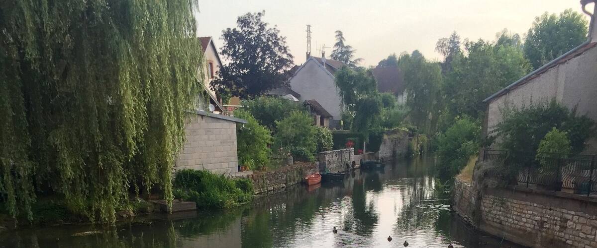 A calm river with ducks swimming, surrounded by greenery and buildings.