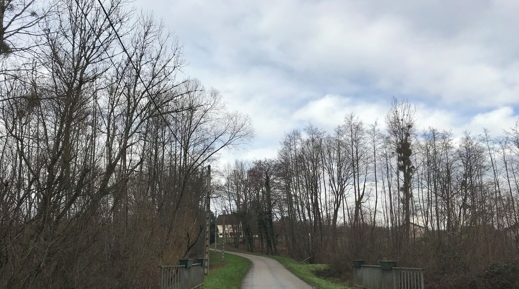 Sergenon (Jura, France) en janvier 2018.