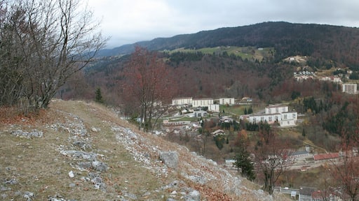 La ville de Morez (France), vue de la Roche au Dade (919 m d'altitude)