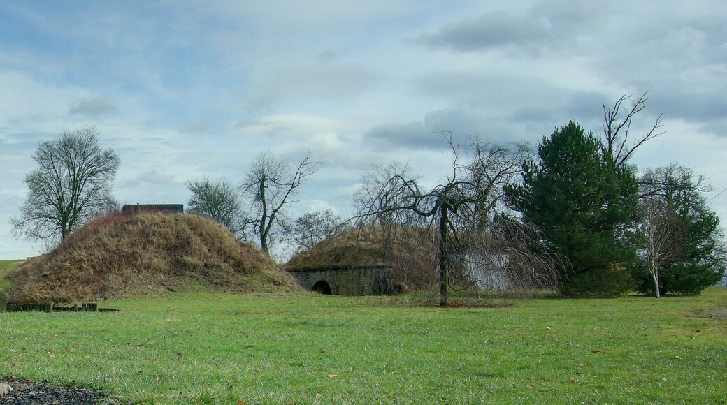 Vue de l'enveloppe, à l'est du fort. Lachaux fortifications (HDR).