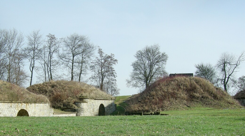 Vue de l'enveloppe, à l'est du fort. Lachaux fortifications (HDR).