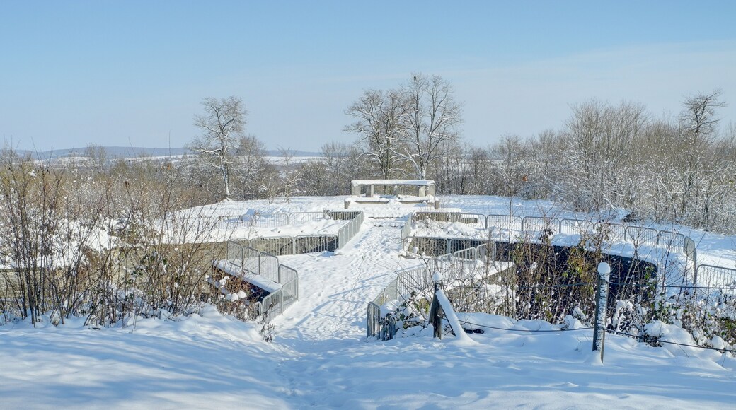This file was uploaded with Commonist. Vue du dessus de la caponnière double de l'enveloppe, à l'est du fort. Lachaux fortifications (HDR).