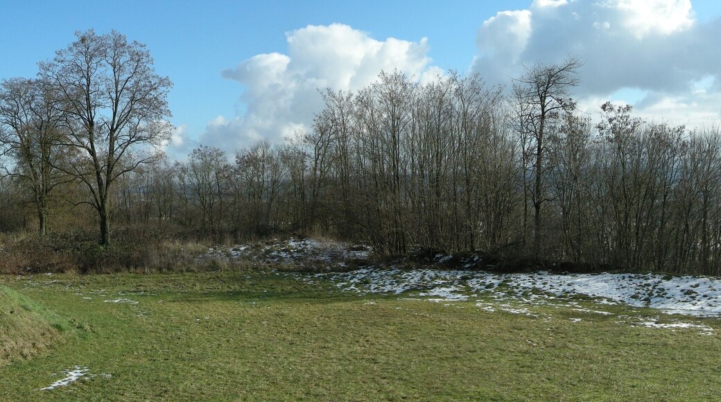 NOTE: This image is a panorama consisting of multiple frames that were merged or stitched in software. As a result, this image necessarily underwent some form of digital manipulation. These manipulations may include blending, blurring, cloning, and color and perspective adjustments. As a result of these adjustments, the image content may be slightly different than reality at the points where multiple images were combined. This manipulation is often required due to lens, perspective, and parallax distortions.