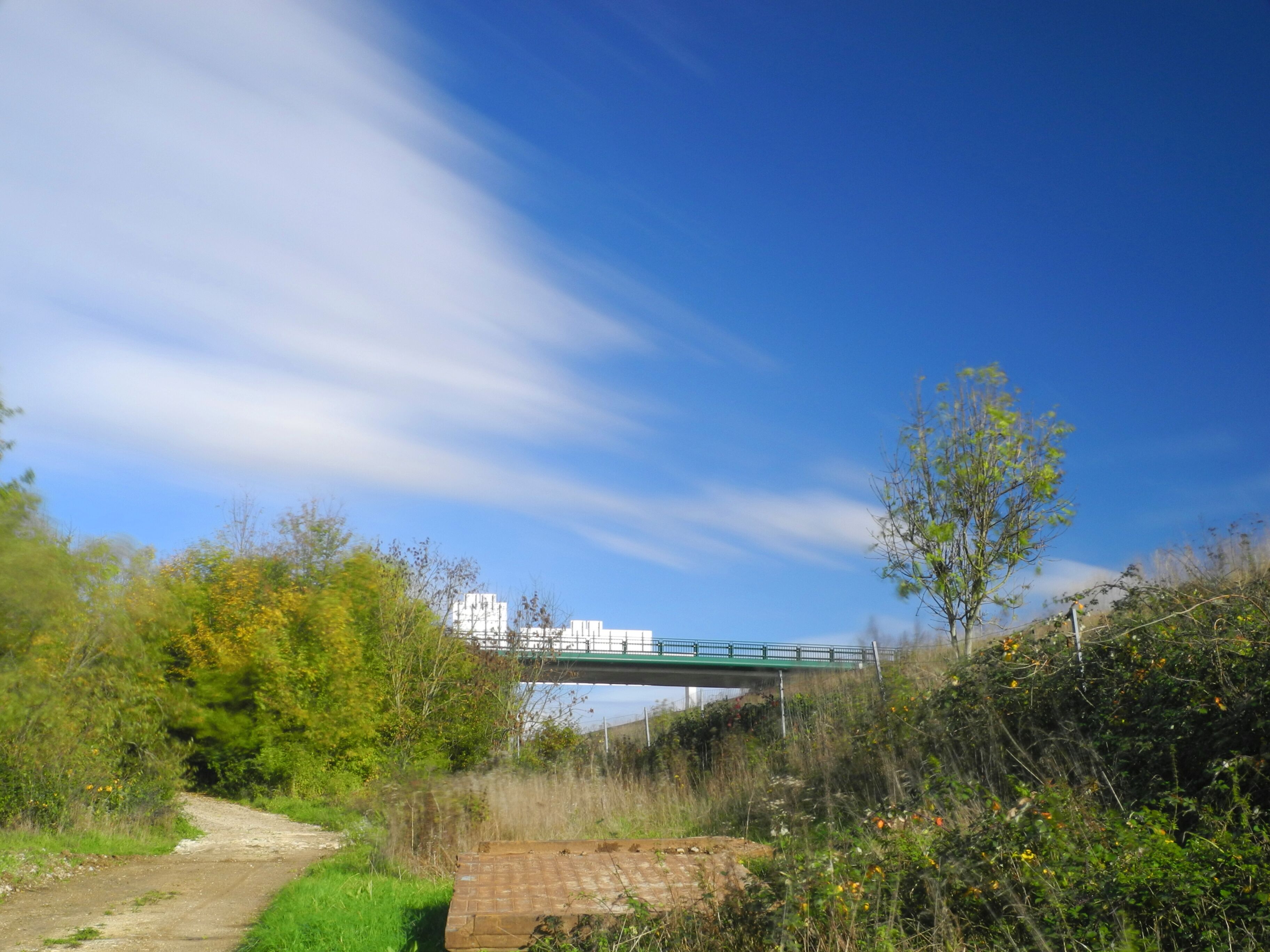 A dirt path leading to a bridge over a body of water, surrounded by greenery and trees.
